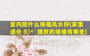 室内放什么绿植风水好(家里适合 🪴 摆放的绿植有哪些)